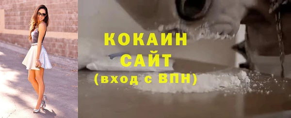 шишки Белоозёрский